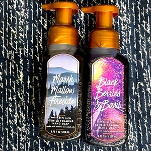 Bath and Body Works 2pc Soap Bundle
